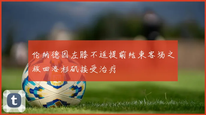 伦纳德因左膝不适提前结束客场之旅回洛杉矶接受治疗